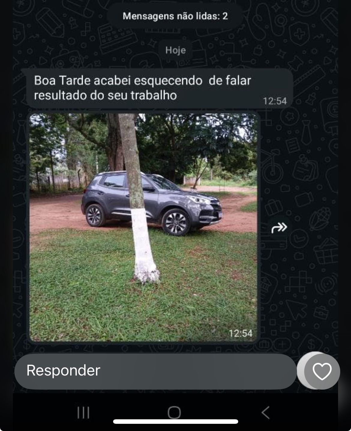 Print de WhatsApp com depoimento de cliente 1